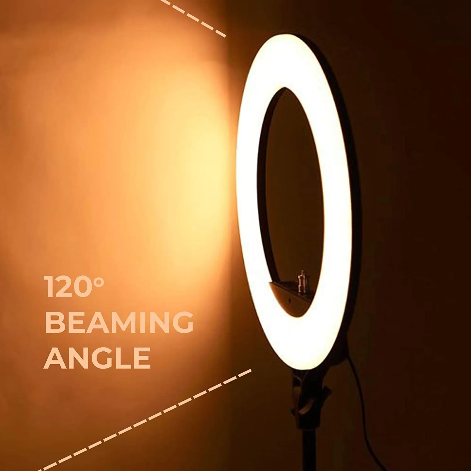 10" Portable LED Ring Light with 3 Color Modes Dimmable Lighting - H01418