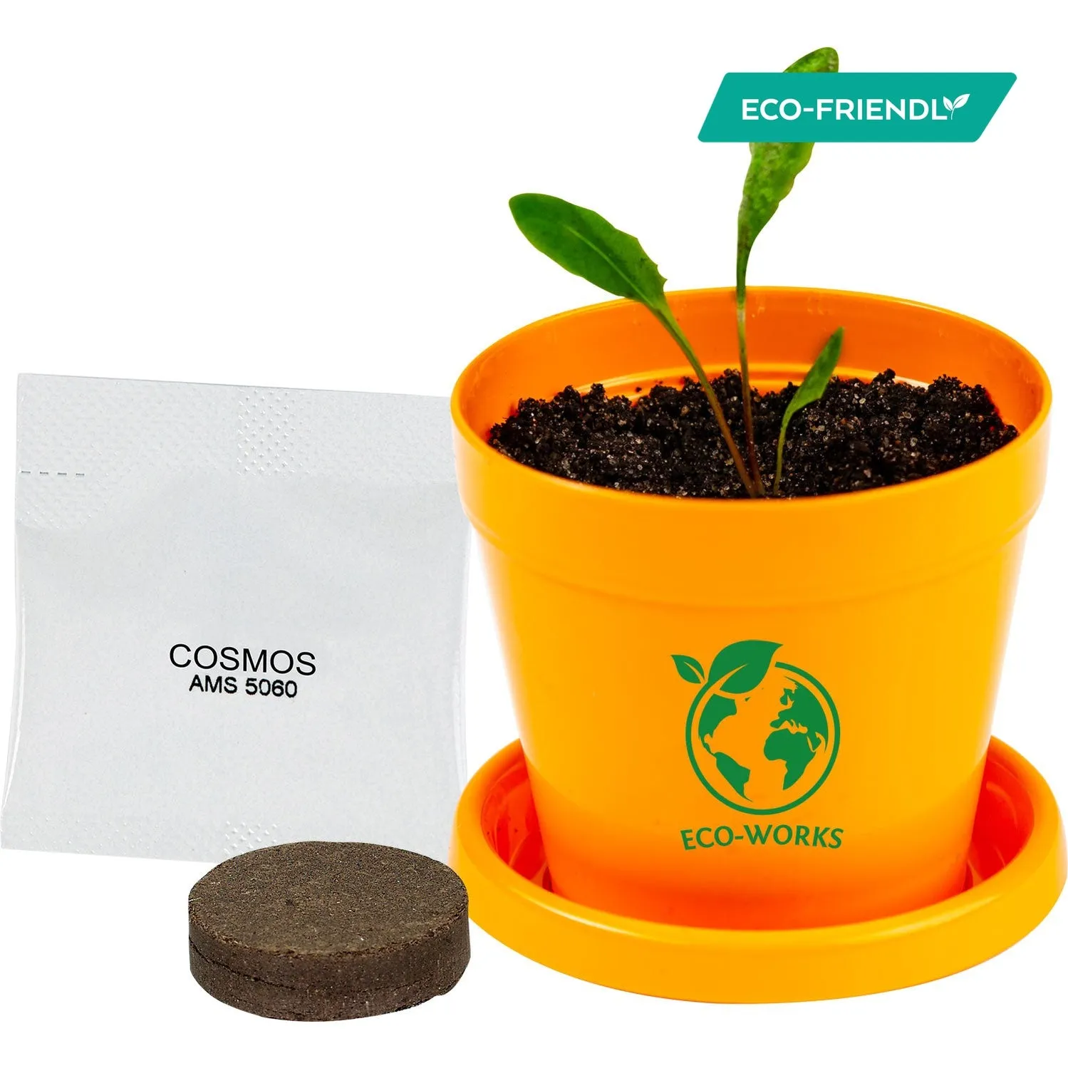 COLORFUL PLANTER KIT