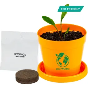 COLORFUL PLANTER KIT