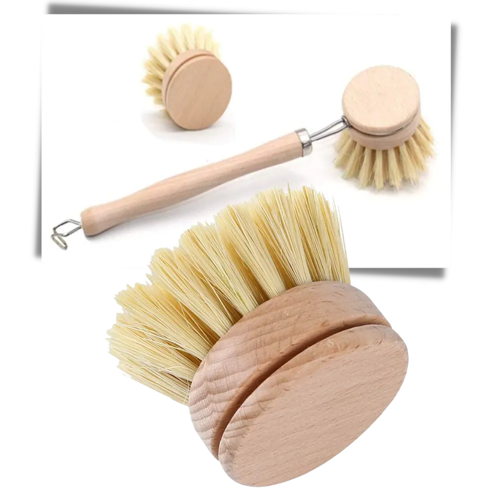 Eco-Friendly Scrubbing Brush