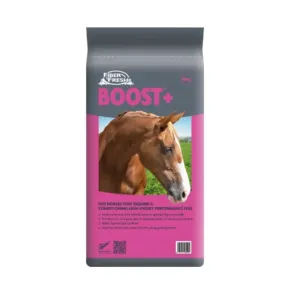 Fiber Boost    20kg