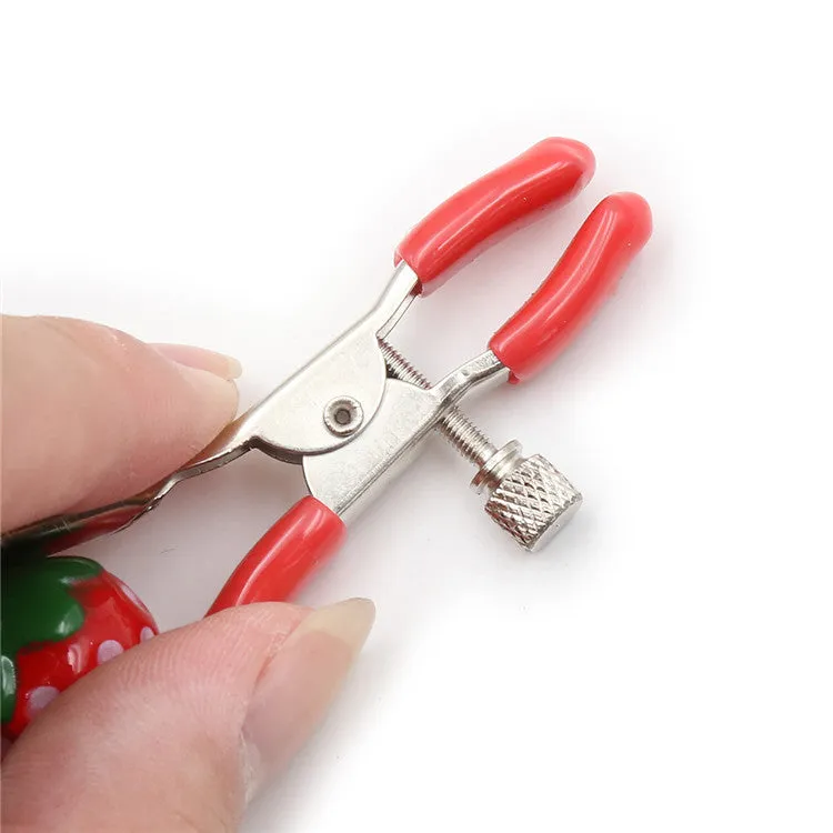Strawberry Bell Nipple Clamps