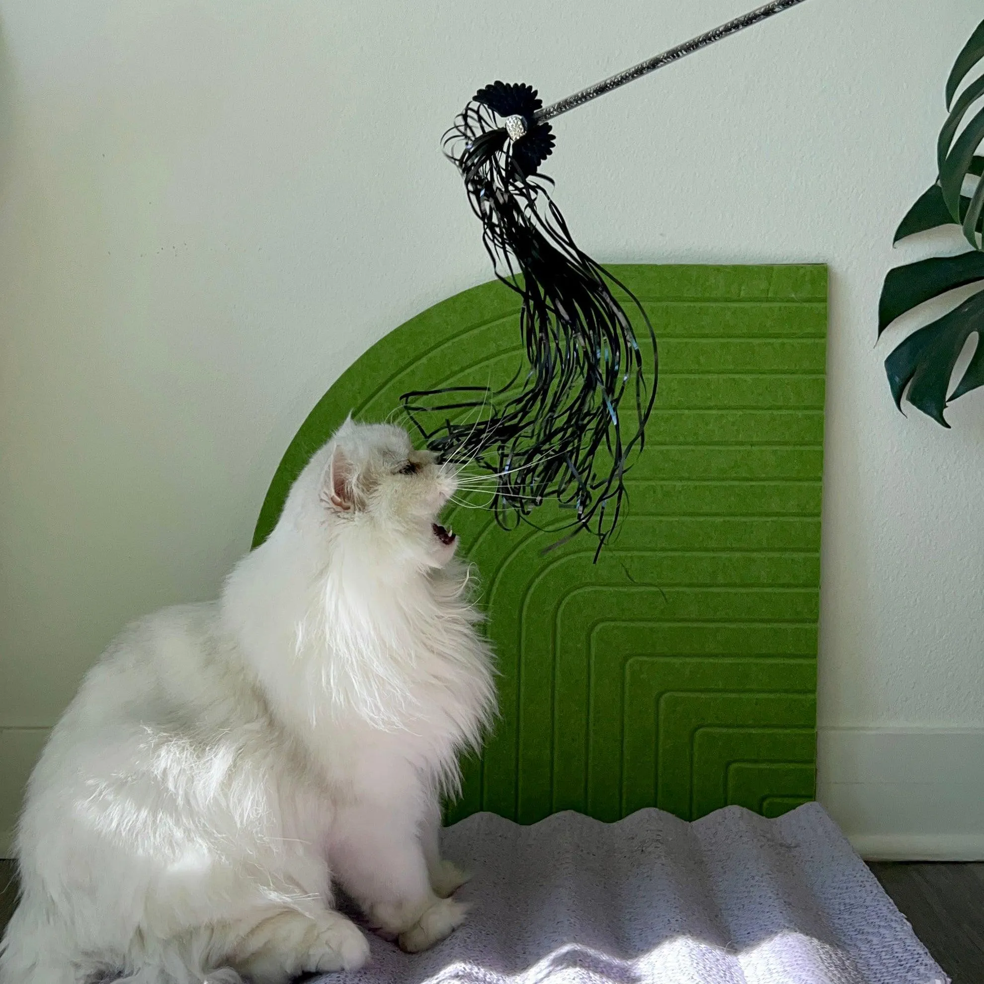 White & Black Angle Wing Teaser Wand Toy with Strings for Cats